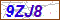Key in what you see in this image before submitting the form