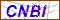 Key in what you see in this image before submitting the form